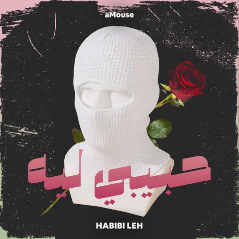 aMouse - habibi leh